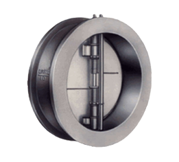 Check valves 2