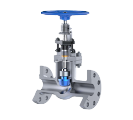 Globe valves